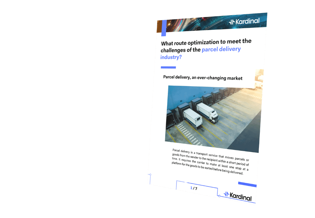 Report route optimization parcel delivery